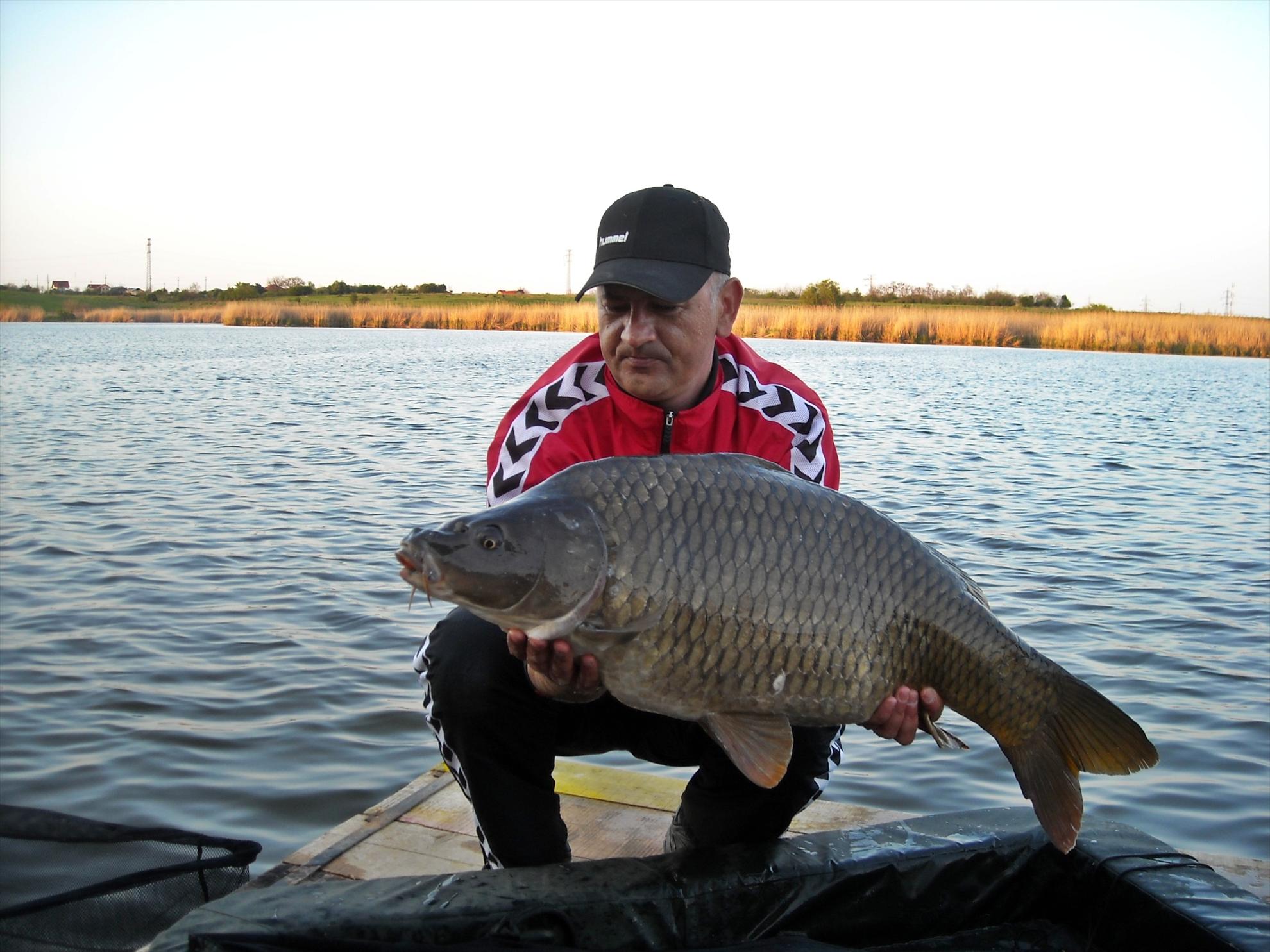 Crapmania - 2010 - crapmania-2010-067.jpg